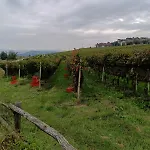 דירה Casa Safranum Con Mini Piscina Privata E Giardino Vista Langhe *