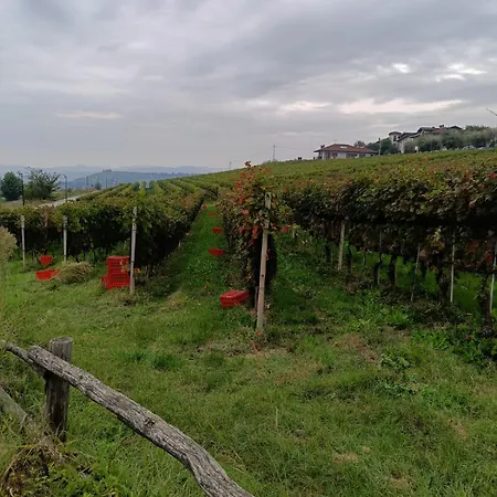 Apartment Casa Safranum Con Piscina Privata E Giardino Vista Langhe *