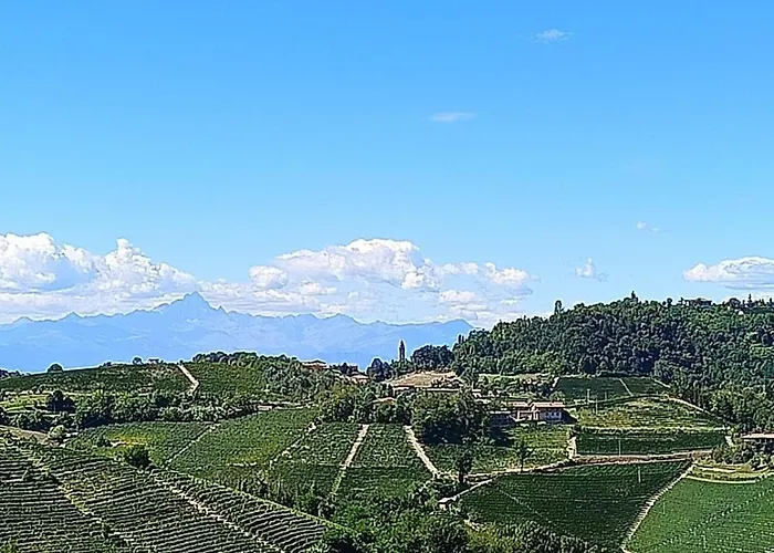 公寓 Casa Safranum Con Mini Piscina Privata E Giardino Vista Langhe 蒙福特达尔巴