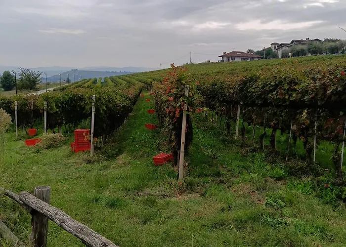 Apartmán Casa Safranum Con Mini Piscina Privata E Giardino Vista Langhe *