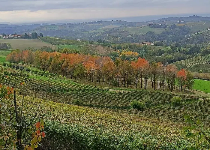 Casa Safranum Con Mini Piscina Privata E Giardino Vista Langhe * 蒙福特达尔巴